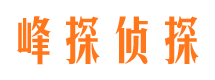 上林侦探公司